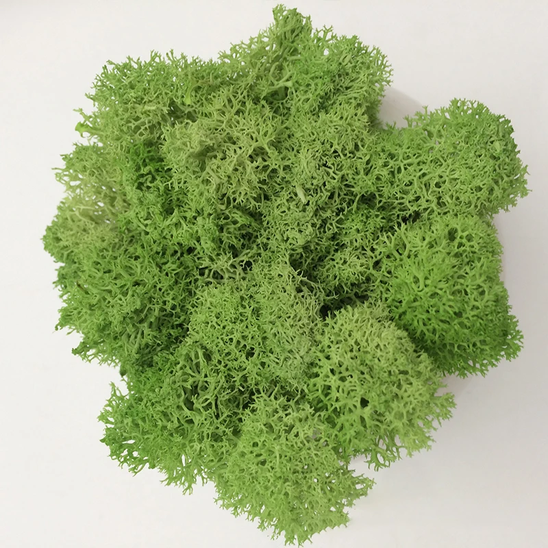 Affordable Artificial Moss Grass for DIY Crafts and Home Decor