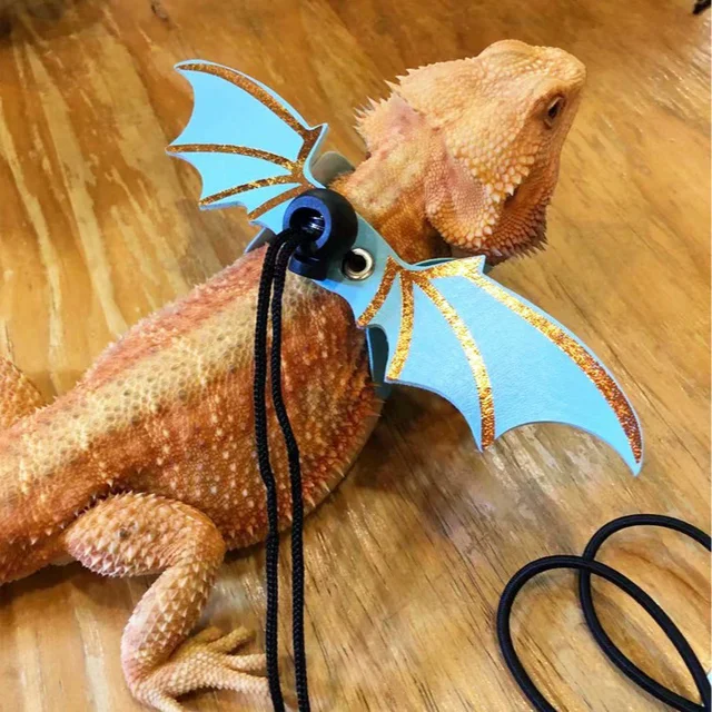 Lizard lead reptile walking lead gecko lead small pet lead colorful wing lead adjustable lizard lead for outdoor carrying 6