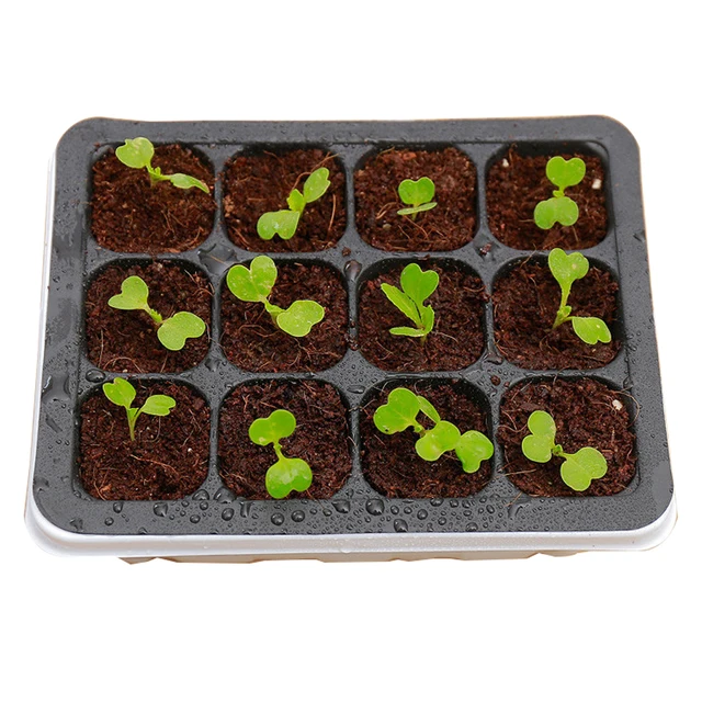 Plastic Nursery Pot 6/12 Holes Seed Grow Planter Box Greenhouse Seeding Garden Seed Pot Tray plant Seedling Tray With Lids