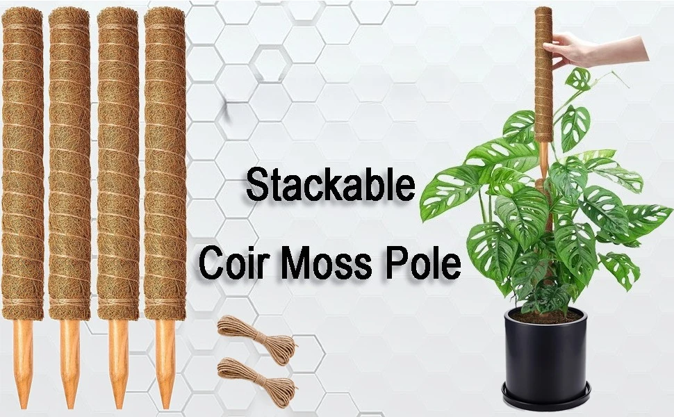 S0a681849741745e6a6cb32ed109bf13cM