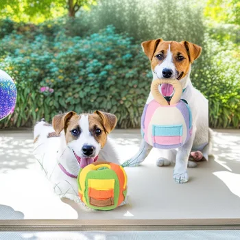 Interactive Pet Puzzle Ball 1