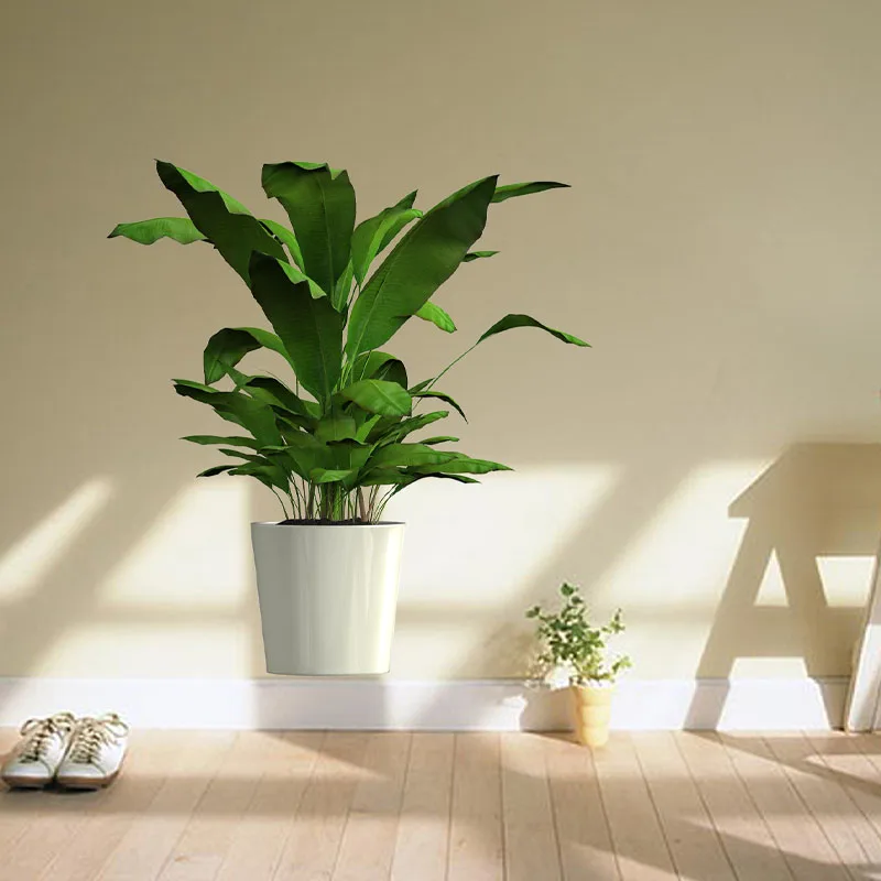 1 Piece of Tropical Plant Potted Pattern Wall Sticker with Colorful Plant Green Large Leaves, Exotic and Fashionable Indoor
