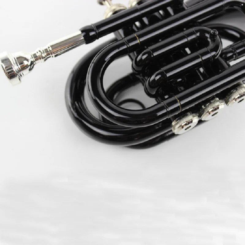 Beginner Western Wind Instrument, B Flat Pocket, Black Palm Instrument