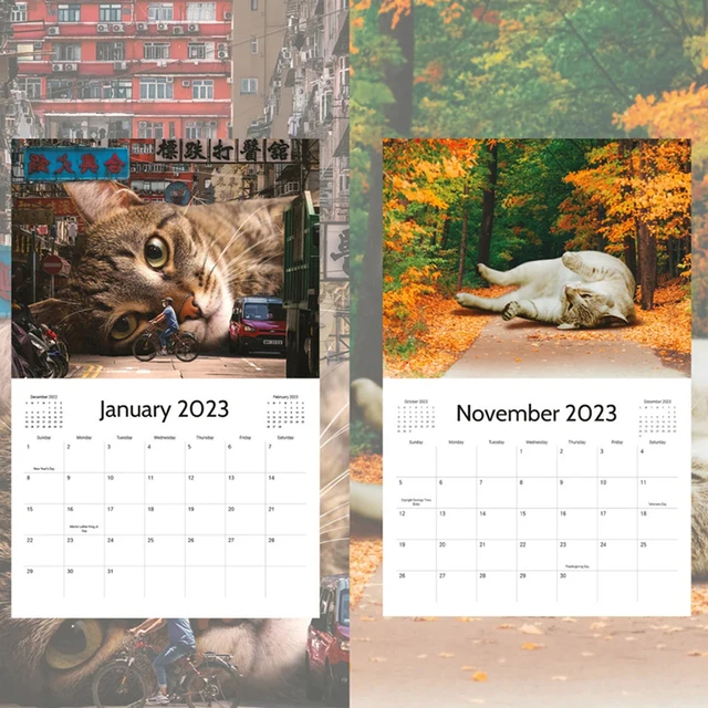 Funny Wall Calendars 2023 | Cat Calendar 2023 | Cat Calendar Wall | Pooches  Calendar - 2023 - Aliexpress