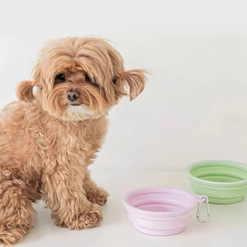 Dog Pet Folding Silicone Bowl 350ml/650ml Outdoor Travel Foldable Portable Cat Food Water Container Feeding Tray Bowls 2