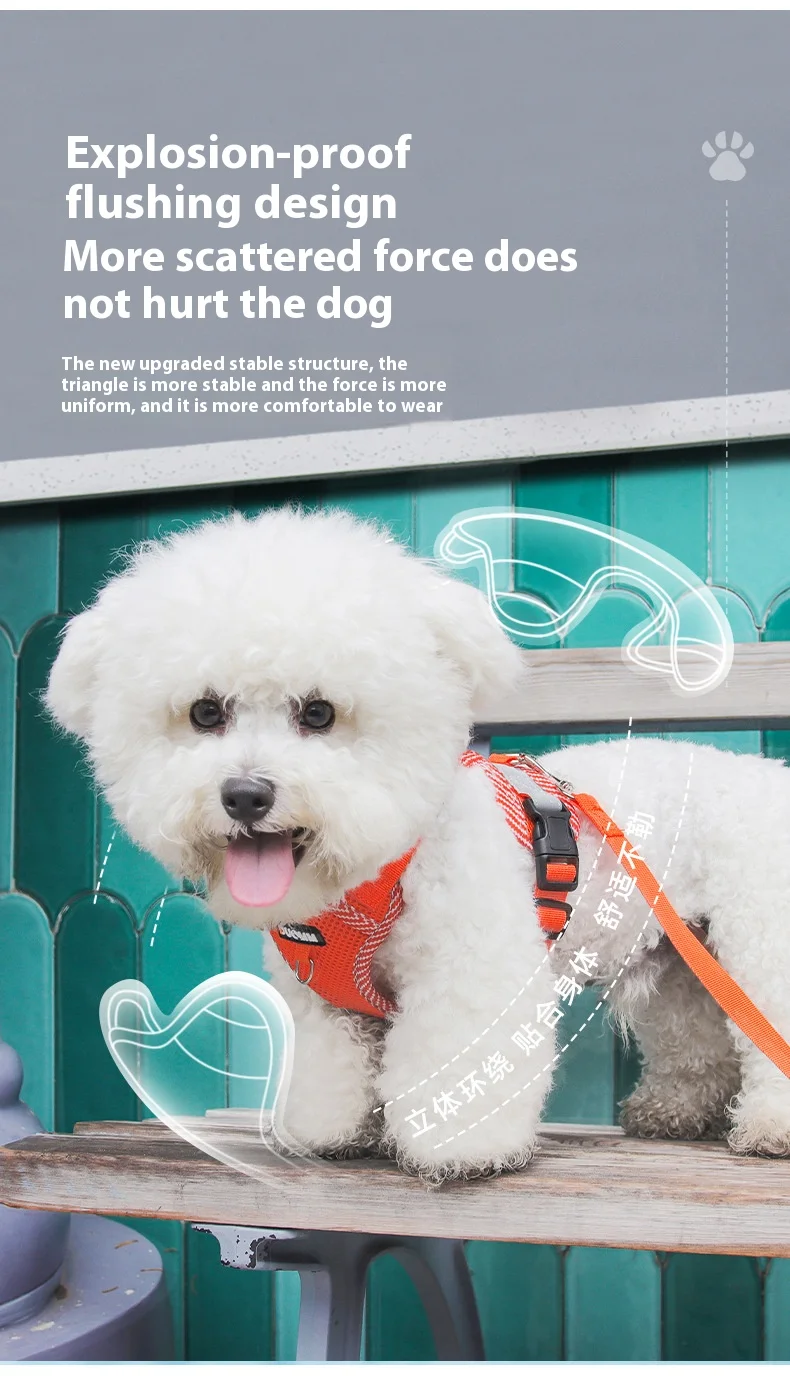 Breathable Reflective Dog Harness for Small Medium Dogs Cats Patterned Comfortable Adjustable Pet Vest with Leash