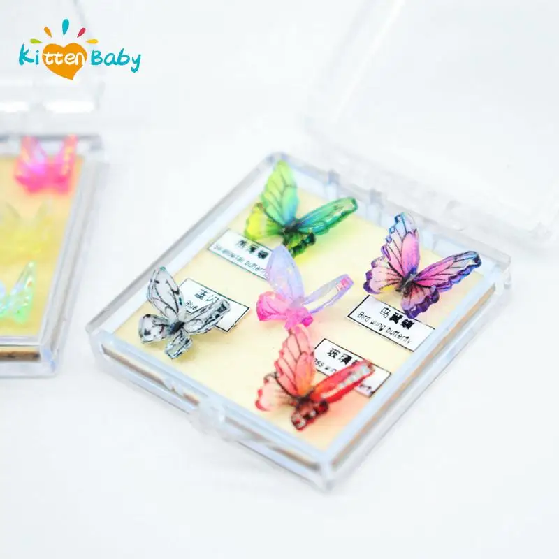 1:12 Dollhouse Miniature Furniture Simulated Butterfly Specimen Box for Study Room laboratory Decor Doll House Accessories Toy