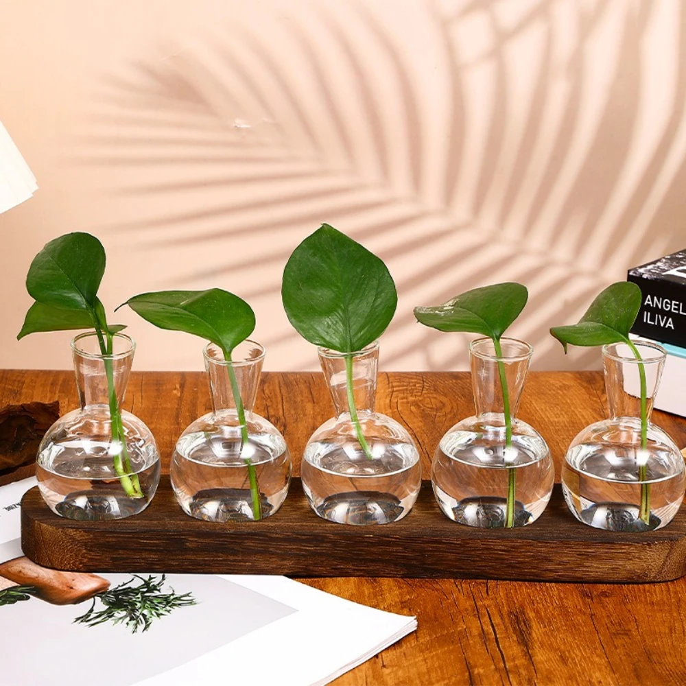 Modern Glass Terrarium with Wooden Tray - Decorative Desktop Plant Propagation Station & Home Decor Planter