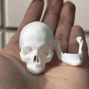 Uncolored 1/6 Scale White Head Skull Skeleton Model for 12in Action Figure Accessory Scene Toys