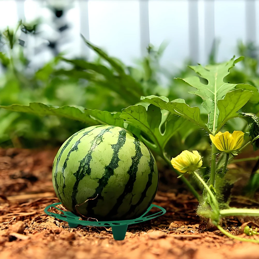 5/10Pcs Watermelon Cradle Fruits Vegetables Nursery Tray Watermelon Support Holder for Watermelons Pumpkins Melons Squash