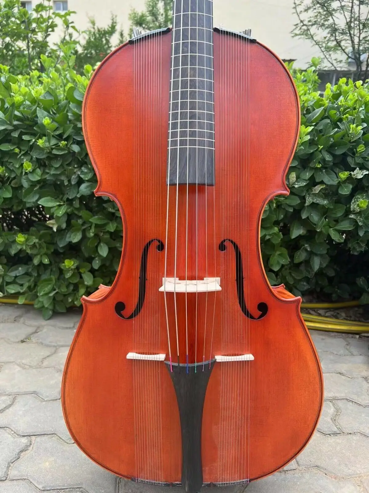 Рисунок 2 - Стандартная коричневая Виолончель-арпегион