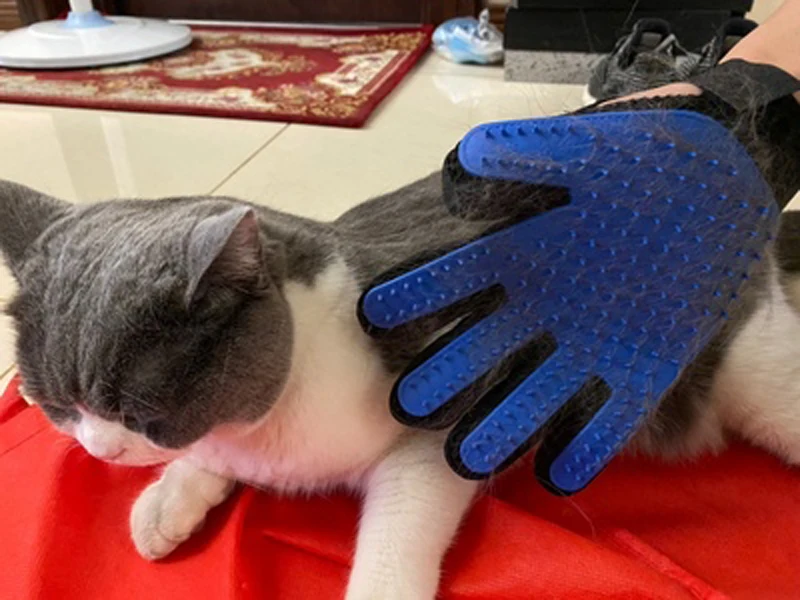 MEISO Peigne détachant pour chien et chat - Pour enlever la croûte et le mucus - Pour enlever les poils de chiens et chats