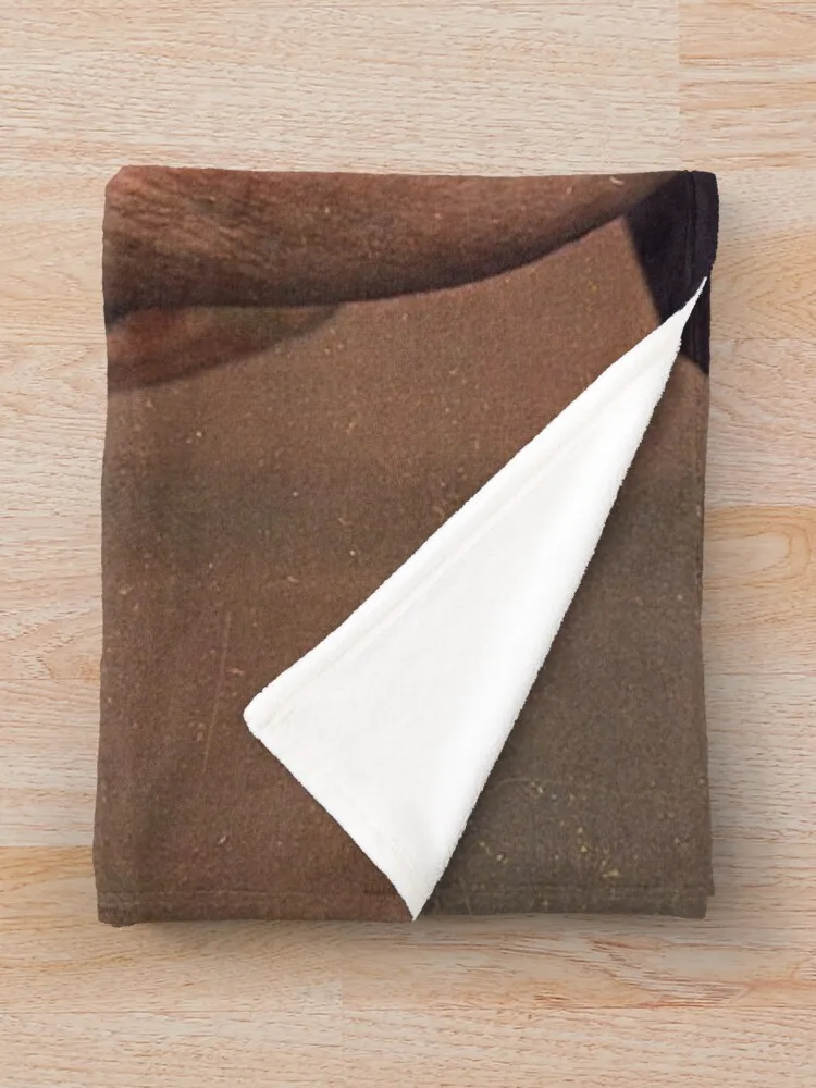 ��ó�� �н� �ʻ�ȭ ������ ���, ����, ���ſ� ��� ������, ���ڱ� ���