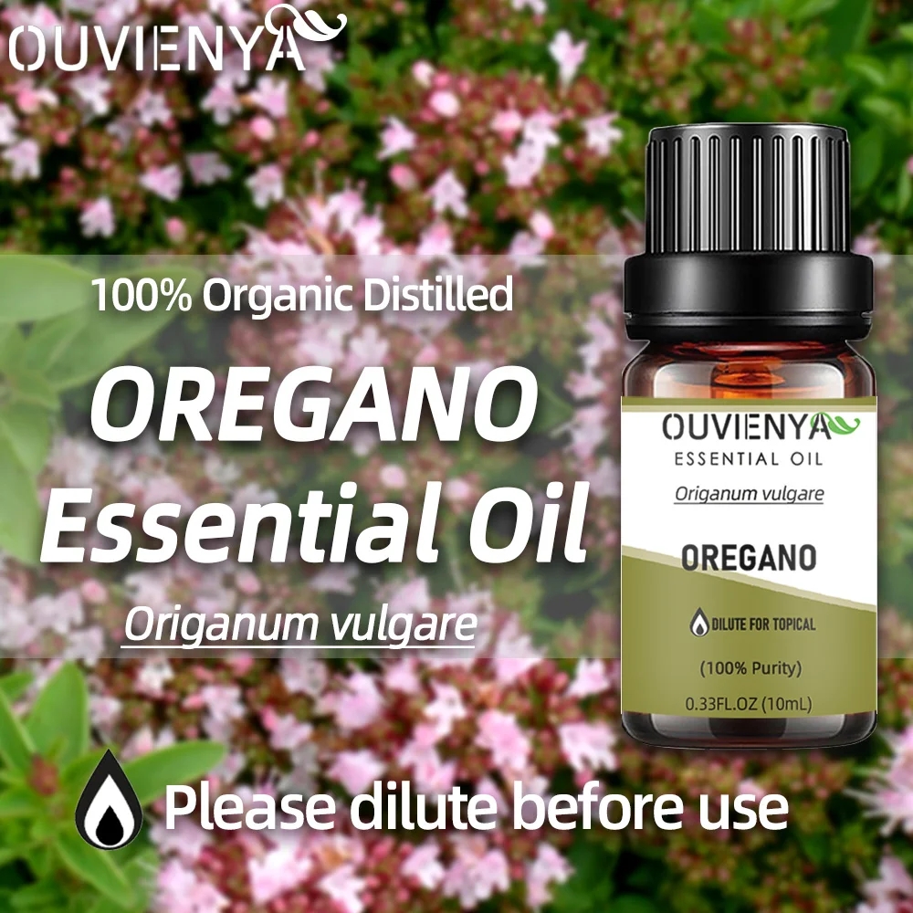 100% Organic 10ml Oregano essential oil from Origanum vulgare effective for body healthy by dilute as topical use or massage