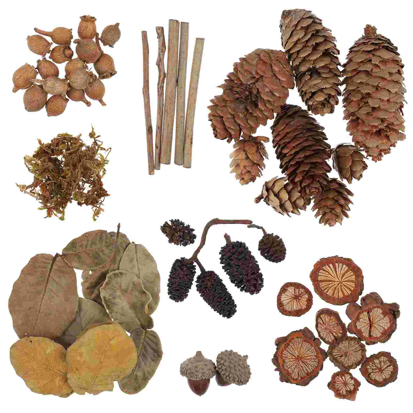 

Desktop Ornaments Natural Acorns Accessories Crafts Adornments Wooden Party Favors