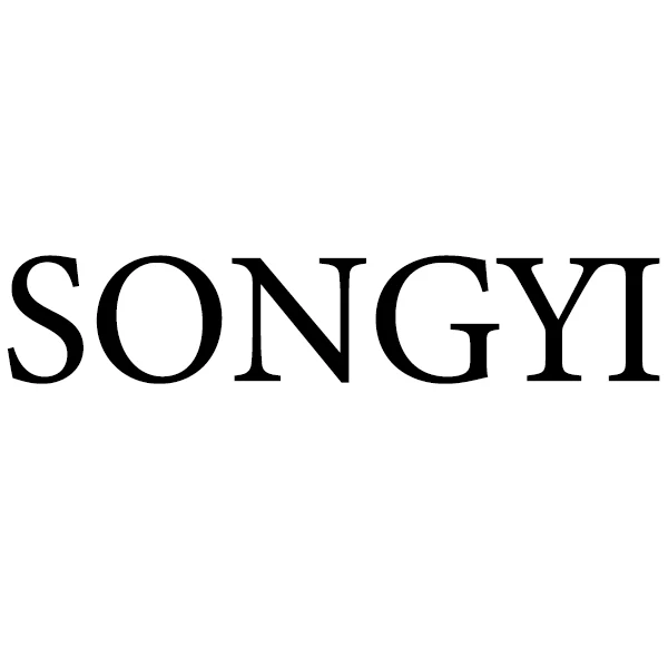 SONGYI RC Model Factory Store