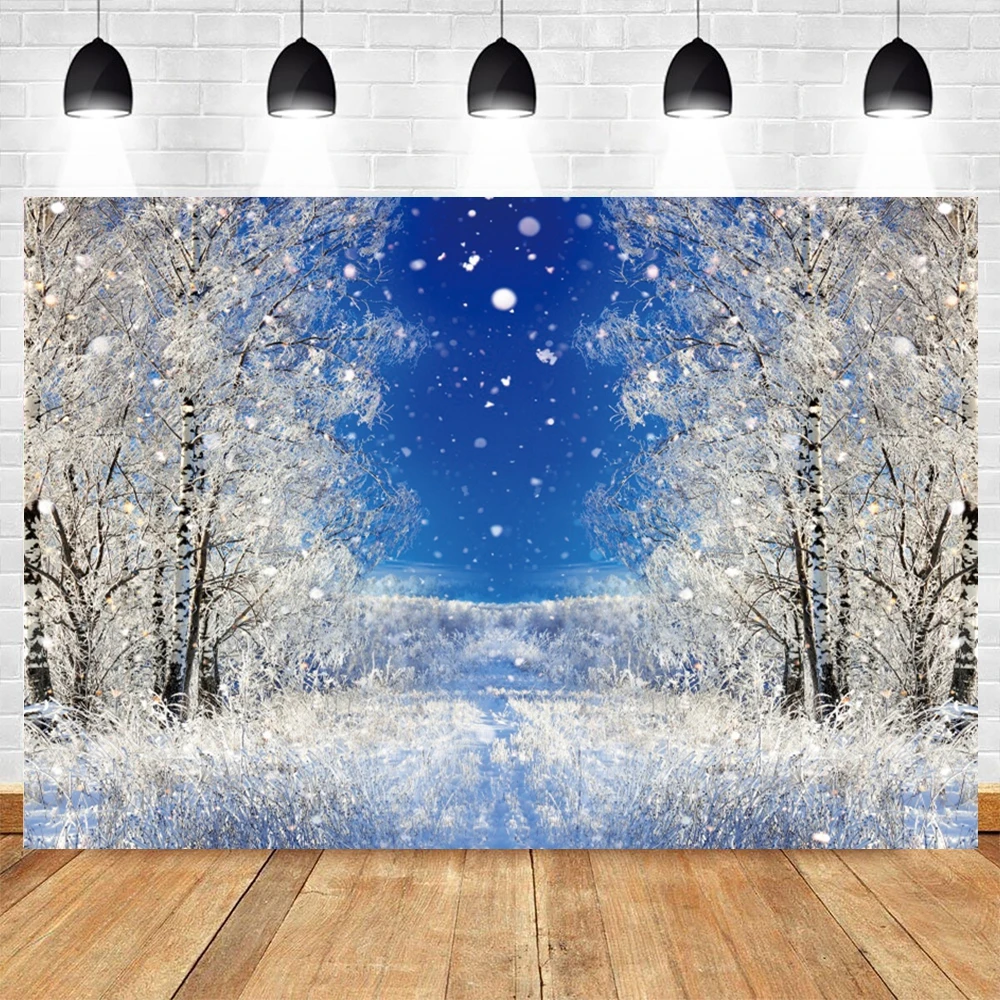 Toile De Fond Scène Hivernale Ski - 240x180 Cm, Vinyle, Motifs Montagnes Enneigées, Chalets, Skieurs, Pour Photo, Vidéo