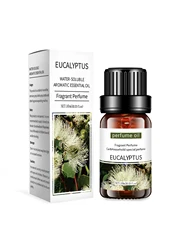 Aromatherapy Lavender Rose Essential Oil for DIY Soap and Candle Making, Wholesale 10mL (Eucalyptus)