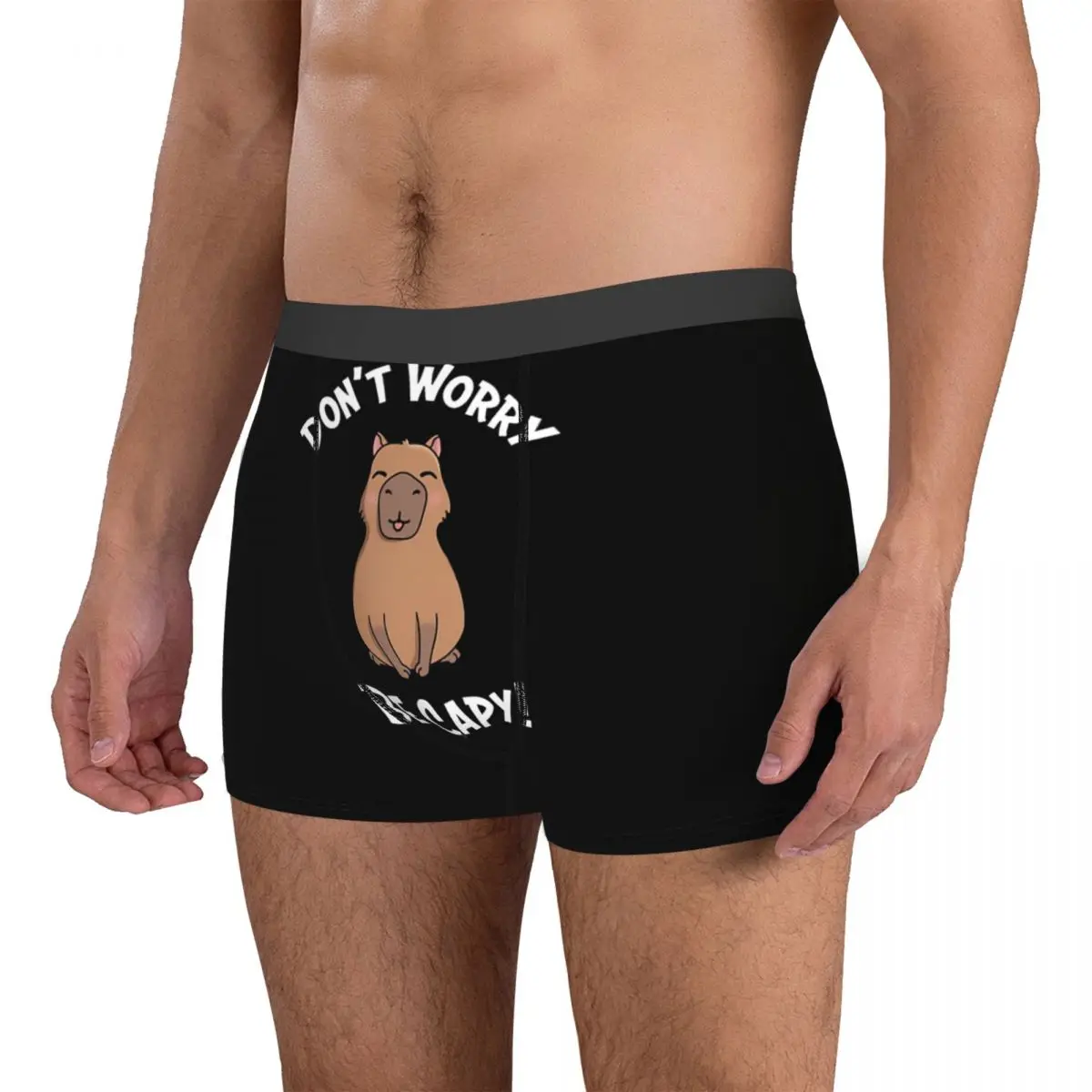 Capy Man's Boxer Briefs Capybara Highly Breathable Underwear Top Quality Print Shorts Birthday Gifts 3
