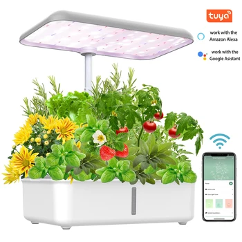 Smart Hydroponic Grow Kit 1