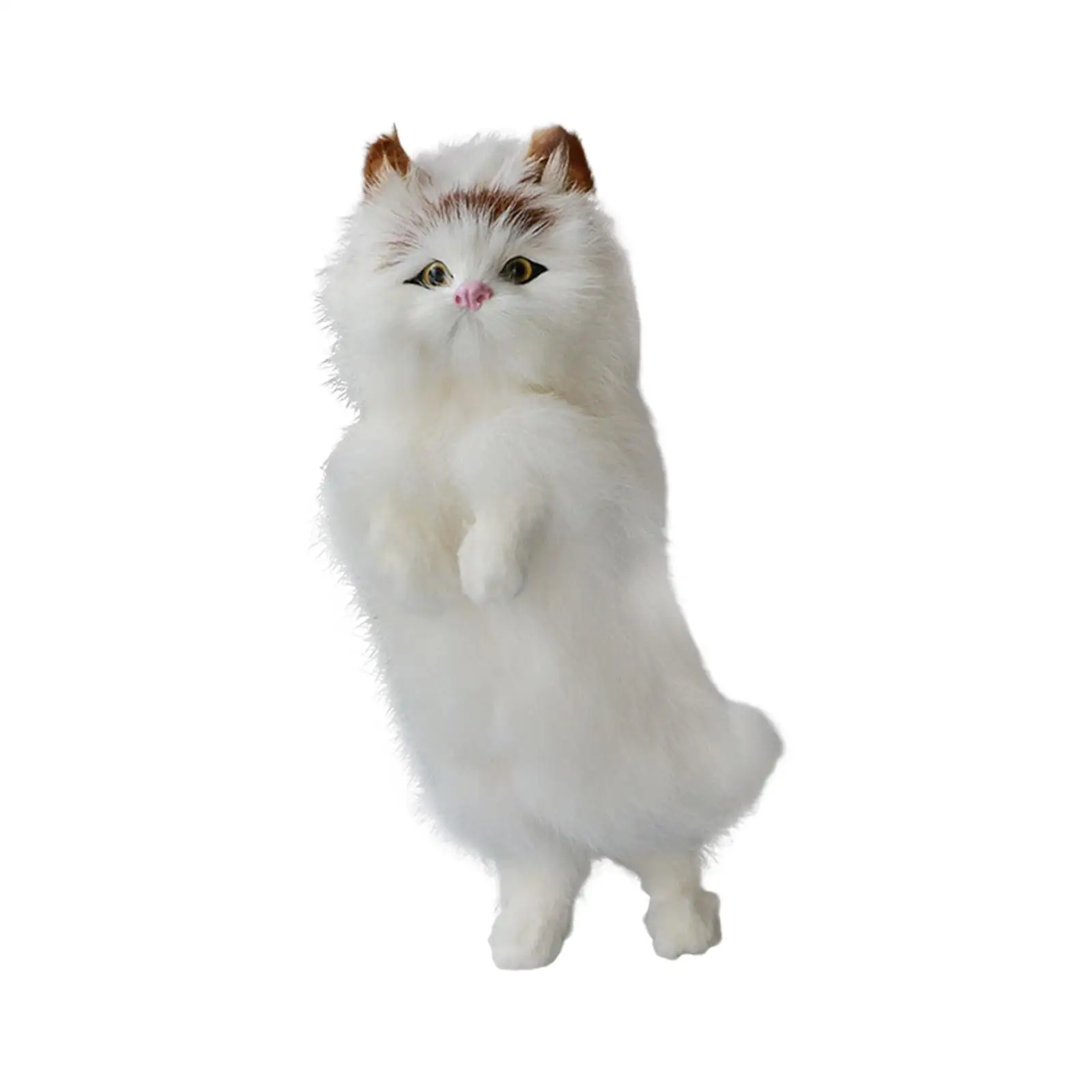   峭  ÷        峭 Ϳ  , Ȩ 