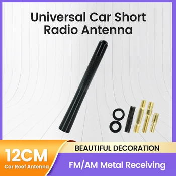 Antenna radio corta per auto MINI fibra nera tetto auto forte antenna radio aerea FM/AM ricevente in metallo accessori universali per auto