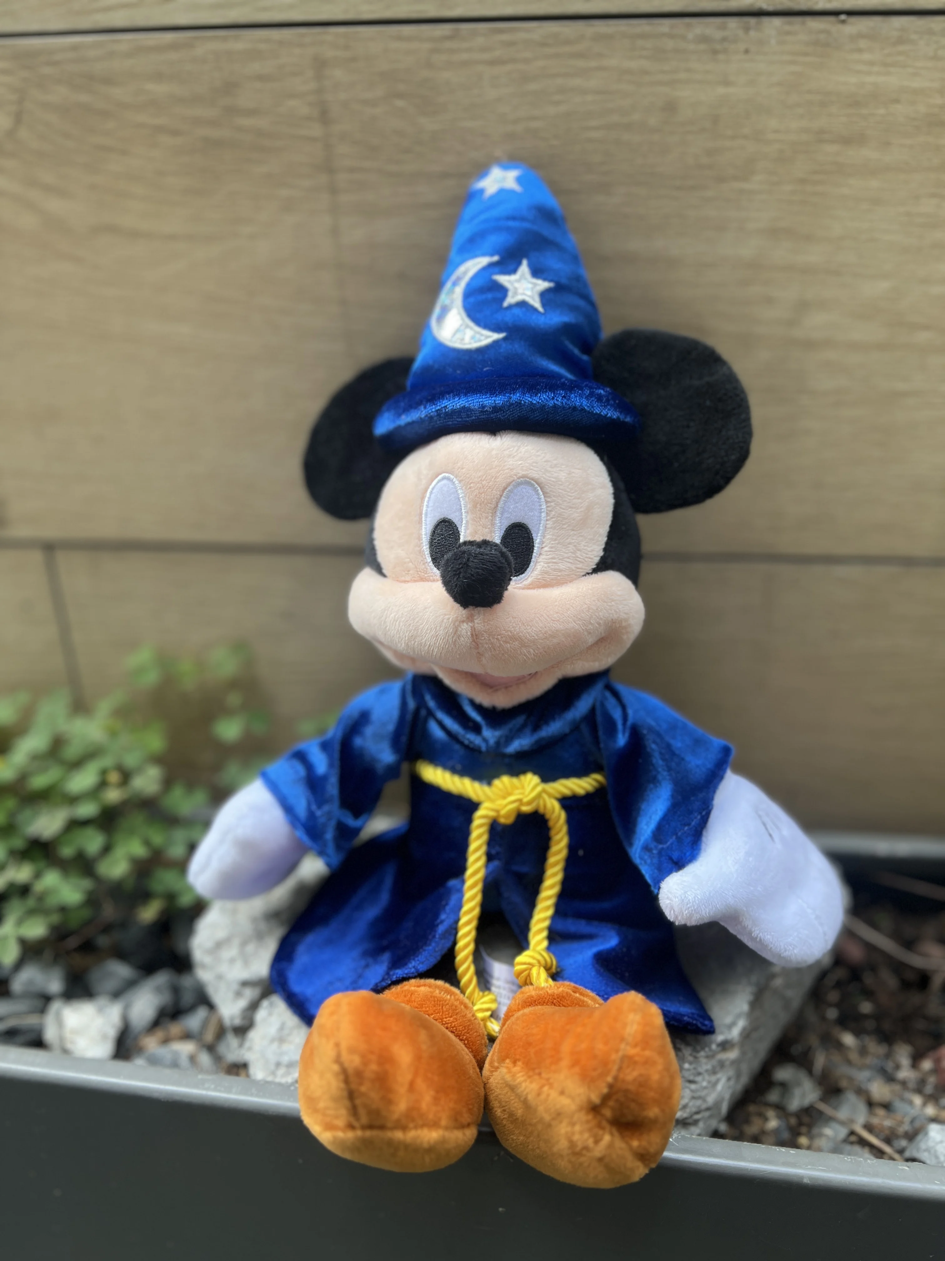 【廃盤限定‼︎】ポキット ディズニー限定デザイン エメラルドグリーン　専用袋付き 廃盤限定‼︎】ポキット ディズニー限定デザイン エメラルド