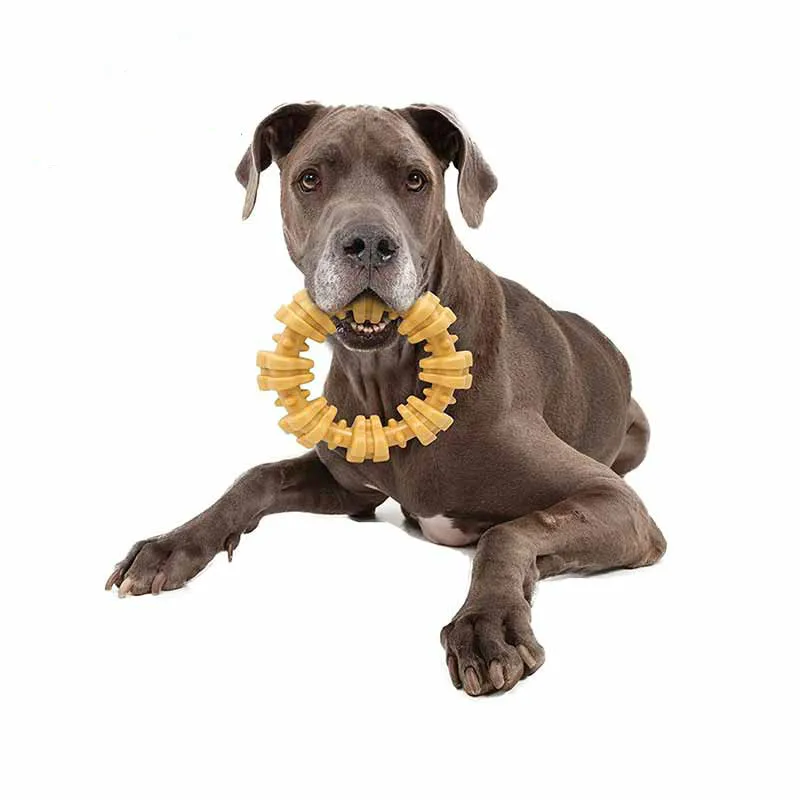 

Chew Plus Textured Ring Dog Car Stickers Sunscreen Bumper Windshield Bumper Motorcycle Decal High Quality KK Vinyl Cover PVC