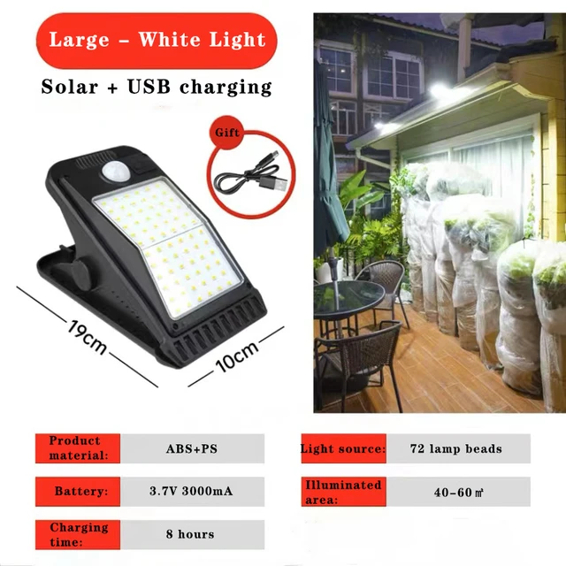 Large - White Light