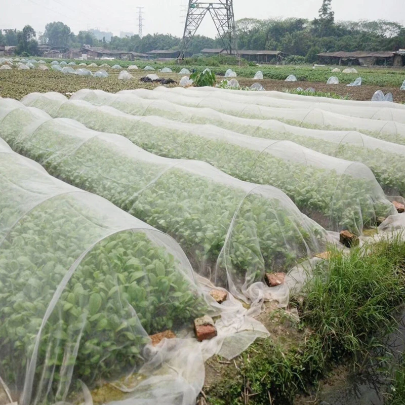 

Insect proof greenhouse, orchard protective net, screen window, mosquito proof cotton net, white anti-aging customized product
