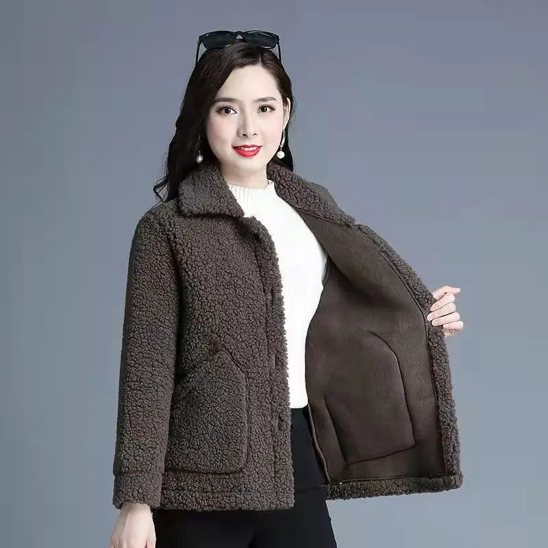 

2023 New Autumn/Winter Lamb Plush Coat Women's Short Plush Thickened Foreign Style Top