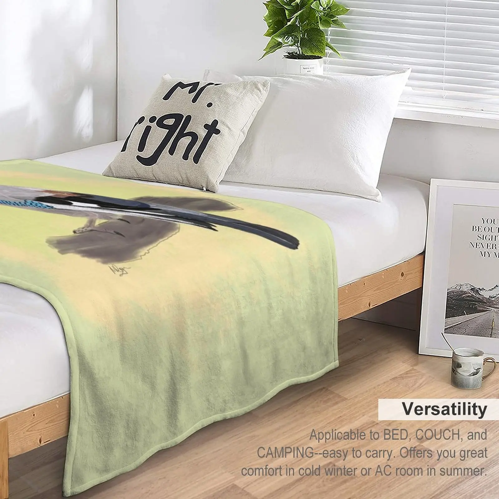 ����þ� ���� ���ο� ���, ���� ���� ���, ���� �̺�, �ʴ��� ���ο� ���