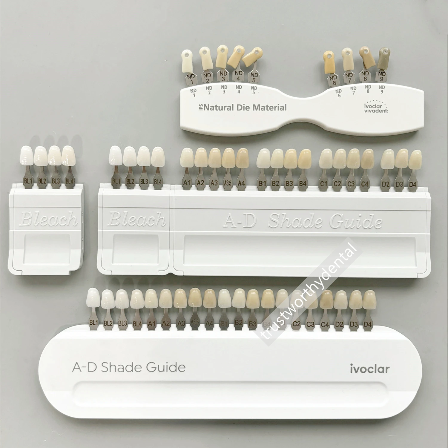 5 種類の歯科シェード ガイド歯 A-D シェード ガイド/4 ブリーチ