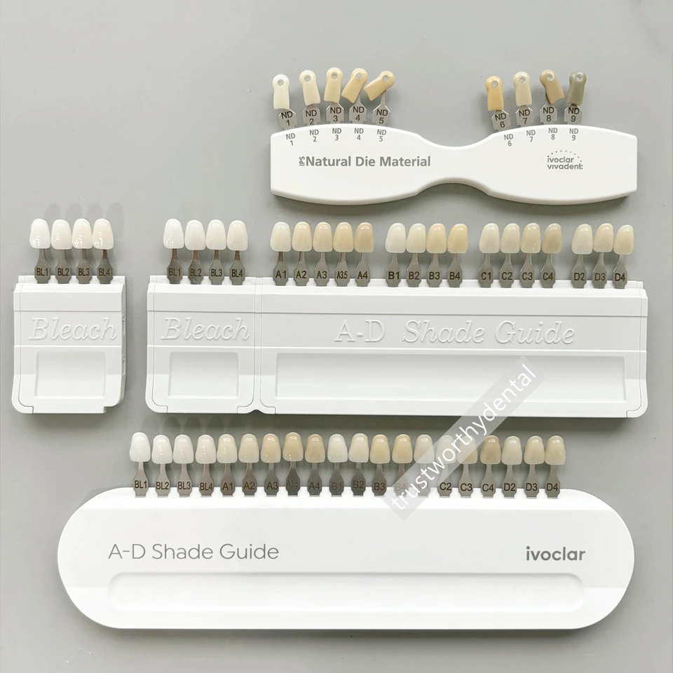5 種類の歯科シェード ガイド歯 A-D シェード ガイド/4 ブリーチ
