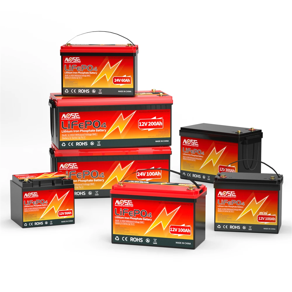 12V 6Ah 10Ah 12Ah 20Ah 25Ah 30Ah 50Ah 100Ah LiFePo4 Battery Pack Lithium Ion Phosphate Batteries Built-in BMS For Solar Boat