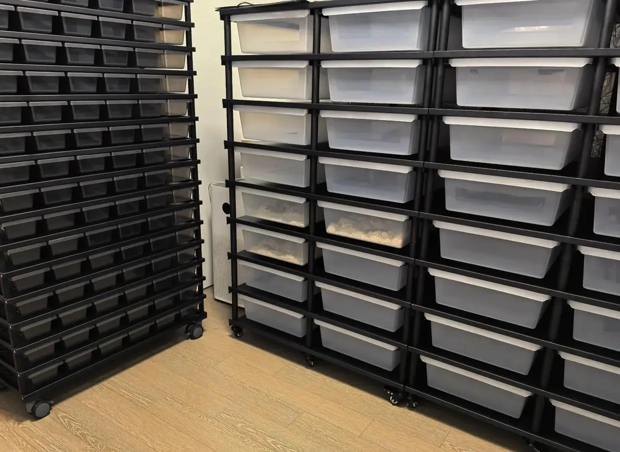 ペット用品爬虫類ボールパイソン水槽ケージディスプレイラックシステム