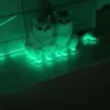 Cat luminous stickers adhesive tape night home indoor outdoor self  luminous fluorescent strips Stair warning tape DIY stage 3