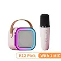 Pink 1 Mic