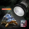 Reptile 110/220V UVB+UVA Light Energy-Saving Eye Protection Led Lamp Pro Turtle Lizard Mane Lion Ultraviolet Calcium Lamp Sun 1