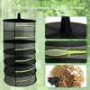 4/6 Layer Herb Hanging Drying Net Breathable Herb Drying Net with Zipper Foldable Hanging Mesh Basket for Herbs Flowers Fish Nut 5