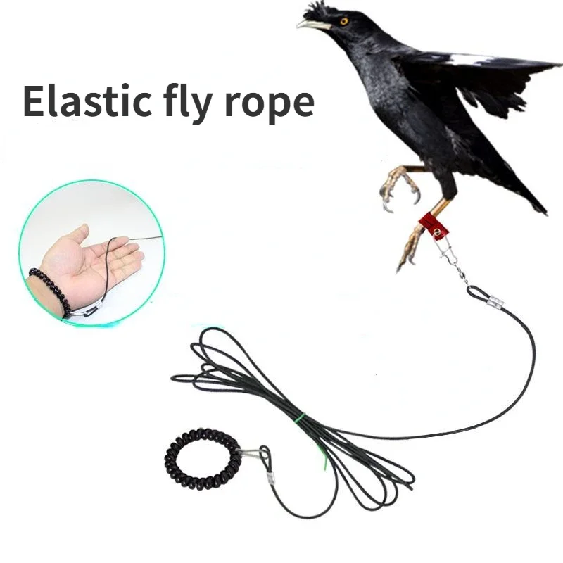 Birds Use Light Flying Ropes To Raise Myna, and White-necked Crows Go ...