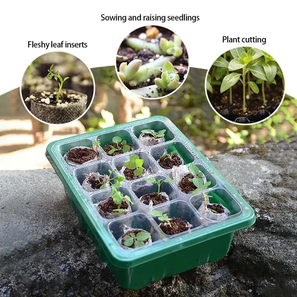6/12Holes Seedling Trays Seed Starter Tray Adjustable Ventilation Humidity Seedlings Germination Tray For Seeds Growing Starting seed starter tray seedling tray