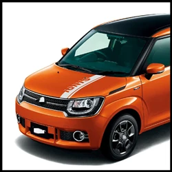 4 StüCk AutotüRgriff Aufkleber, Karosserie Aufkleber Modellierung, FüR  Suzuki Ignis : : Auto & Motorrad