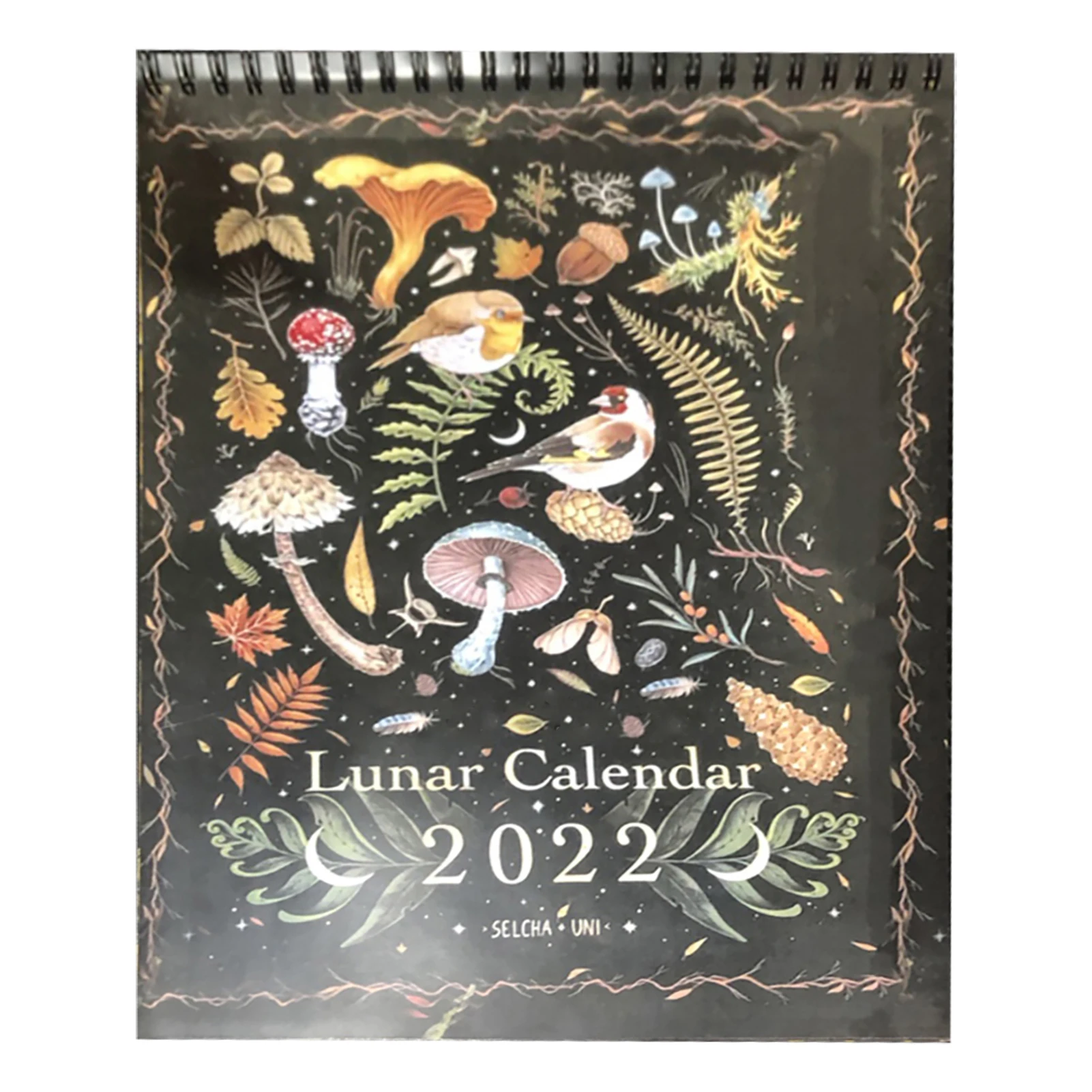 Calendario Cambio Luna 2022 2023