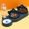Pet Bowls With Water Feeder, 3 In 1 Ear Design Tilted Cat Water And Food Bowl Set With Gravity Water Bottle For Neck Protection 1
