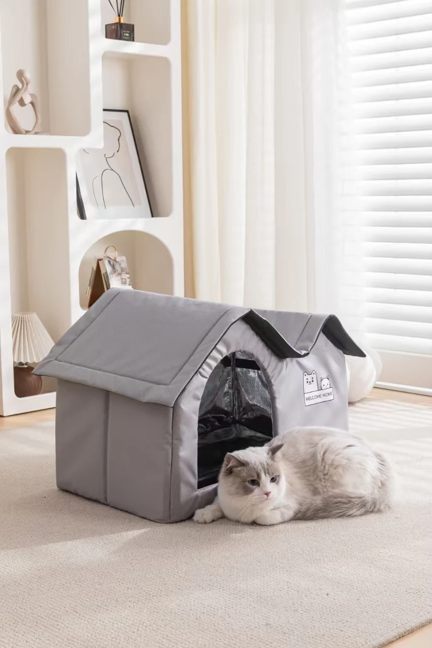 Cat Ice House 2