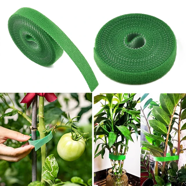 5 Méteres Növényköteg Nylon Növényi Kötés Otthoni Kerti Horog Hurokszalag Paradicsomfa És Bambusz Nádcsomagoló Kiegészítők - Image 2