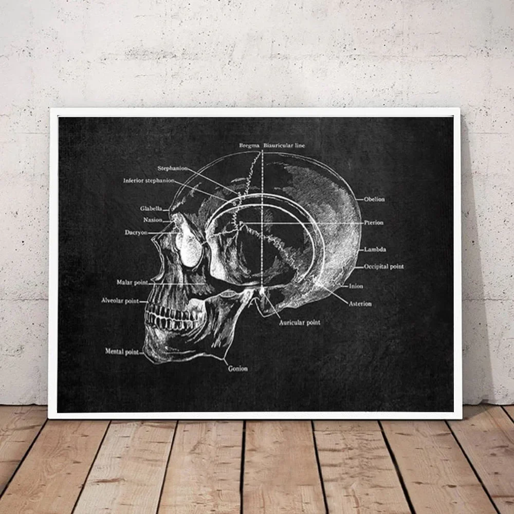 Anatomia Arte Bianco e Nero Pittura su tela medica Organo floreale Cardio Polmone Stampa di poster Educazione Ospedale Decorazioni per la casa - immagine 4