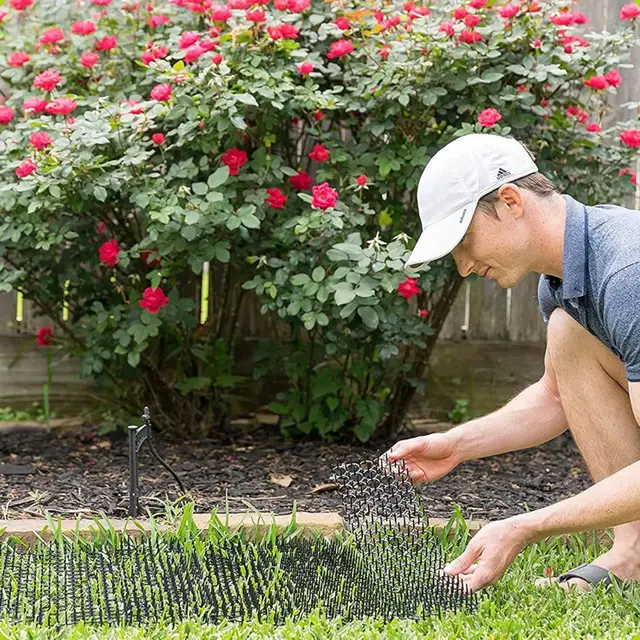Macska Scat Szőnyeg Tüskékkel Szúrócsíkok Hordozható Kerti Caták Antikaták Hálózat Ásás Dugó Taszító Tüske Elrettentő Kültér - Image 2