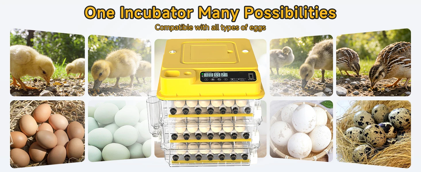 incubator side view